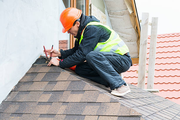 Best Roof Gutter Cleaning  in New Ulm, MN